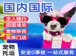 温州空运公司国际宠物托运 【国